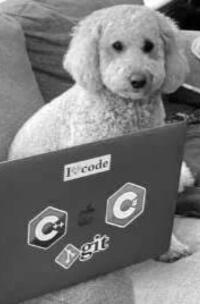 Willow is the Fuzz Tester and Mascot of Bent Vector Studios